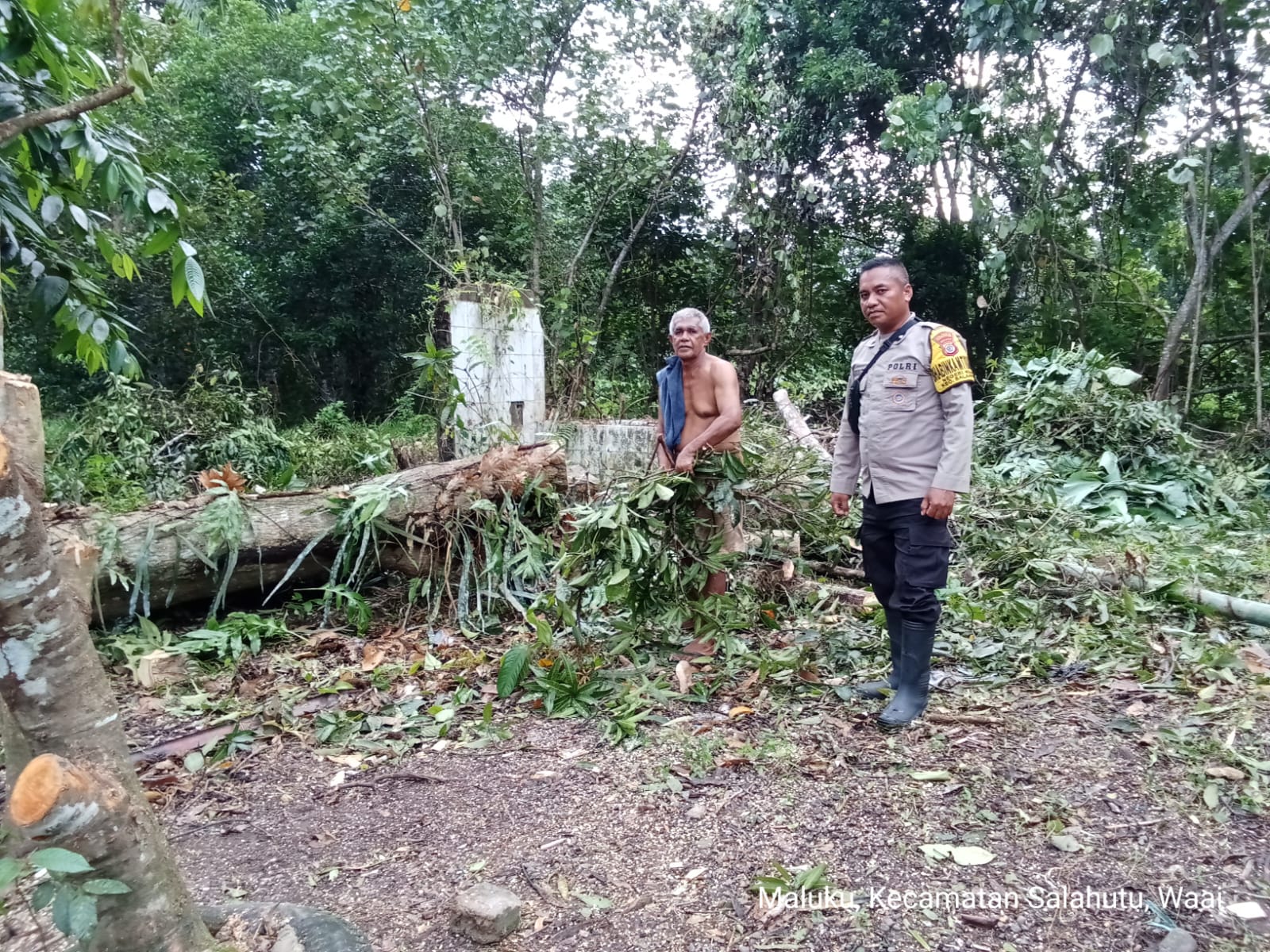 Polsek Salahutu Dukung Ketahanan Pangan Lewat Kunjungan Bhabinkamtibmas ke Kampung Tangguh Nusantara “Sagu” Negeri Waai