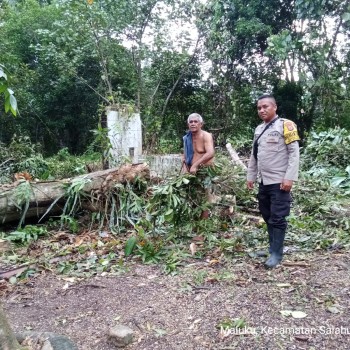 Polsek Salahutu Dukung Ketahanan Pangan Lewat Kunjungan Bhabinkamtibmas ke Kampung Tangguh Nusantara “Sagu” Negeri Waai