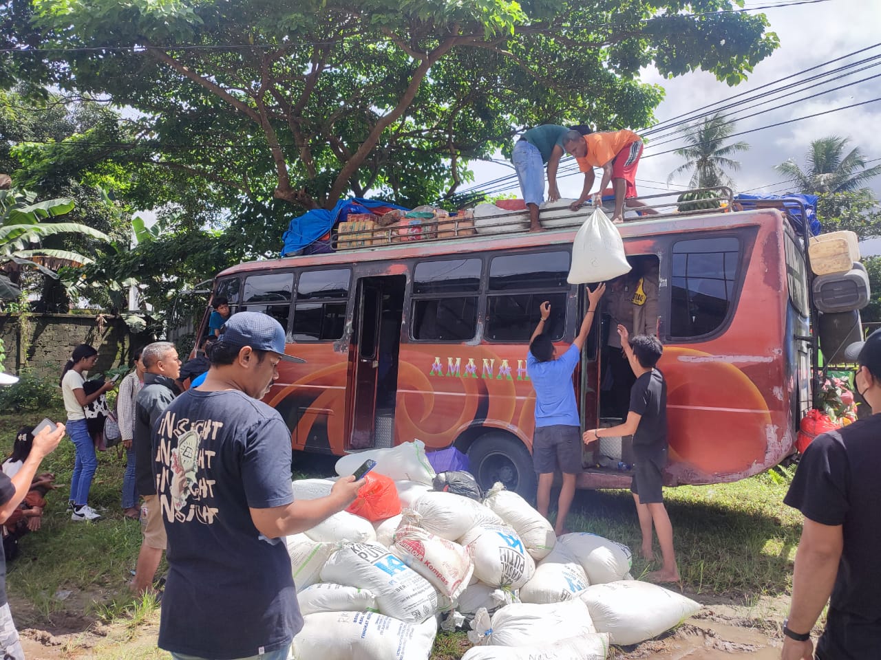 Polresta Ambon dan Polsek Salahutu Amankan 5 Ton Miras Tradisional Jenis Sopi dalam Razia Gabungan