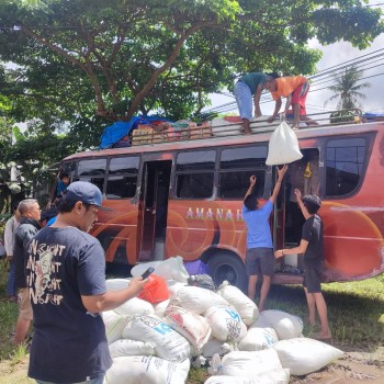 Polresta Ambon dan Polsek Salahutu Amankan 5 Ton Miras Tradisional Jenis Sopi dalam Razia Gabungan