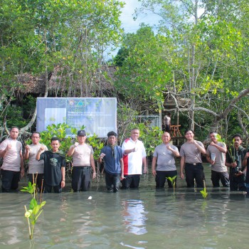 Sambut Hari Bhayangkara ke-79, Polresta Ambon Tanam 79 Bibit Mangrove di Pesisir