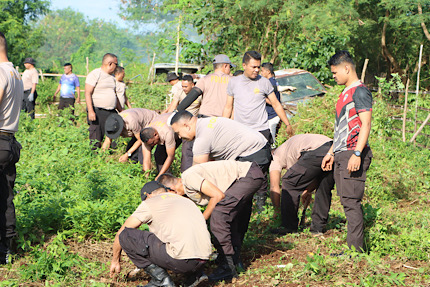 Bersihkan lahan produktif, Polres Kepulauan Tanimbar aktif dukung Ketahanan Pangan