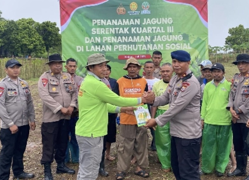 Satuan Brimob Polda Maluku Tanam Jagung di Lahan Satu Hektar