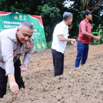 Polda Maluku Gelar Penanaman Jagung Serentak di Lahan Perhutanan Sosial, Dukung Swasembada Pangan Nasional