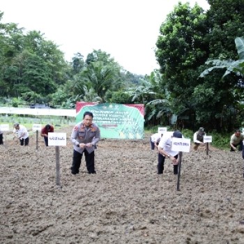 Kapolda Maluku tanam jagung serentak dukung swasembada pangan 2025