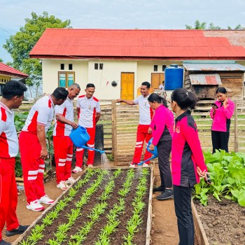 Polsek Wetar Panen Hasil Kebun Sebagai Wujud Dukungan Program Ketahanan Pangan