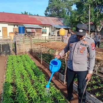 Polsek Wetar Dukung Program Ketahanan Pangan Melalui Pemeliharaan Kebun Bergizi