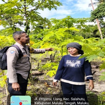 Bhabinkamtibmas Sambangi Kampung Tangguh “SAGU” di Negeri Liang, Dukung Ketahanan Pangan Warga